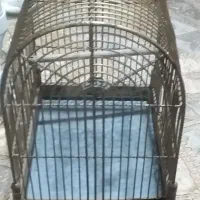 قفس سره فنج رنگ طلایی جنس بدنه آهنی محکم پایه چوبی