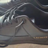 کفش LACOSTE سایز ۳۹