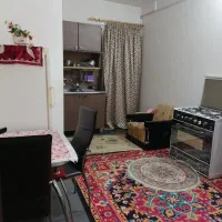 خانه مبله|اجارهٔ کوتاه‌مدت آپارتمان و سوئیت|کرمان, |دیوار