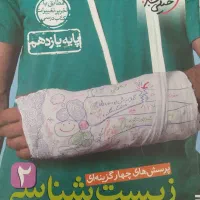 خیلی سبز ، آی کیو ، فرمول بیست