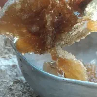 عسل طبیعی کوهی