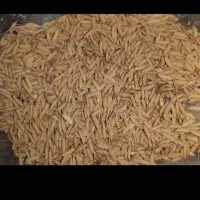 تخم جوهاشمی قیمت ۱۸۰