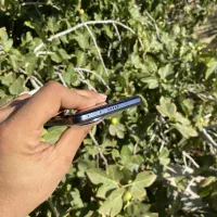 Honor 200|موبایل|کرمان, |دیوار