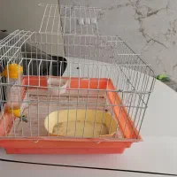 قفس خرگوش با تجهیزات