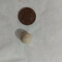 سنگ الماس با سکه ۱۰ ریالی