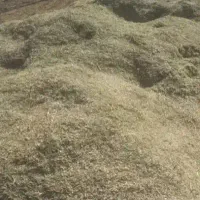 سلام حدود 60 الی 70 خروار کاه لوبیا فروشی