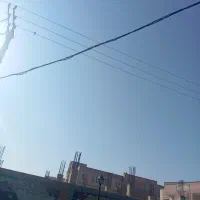 عروس هلندی پیدا کردم