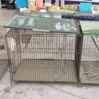 قفس پرنده|لوازم جانبی حیوانات|حمیدیا, |دیوار