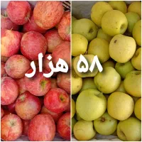 سیب زرد و قرمز مراغه