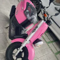 پاکشتی صورتی متفاوت در کل ایران