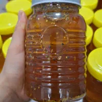 عسل سراب|خوردنی و آشامیدنی|صباشهر, |دیوار