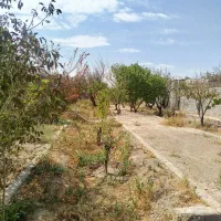 1050-باغ-ویلا-باسندتک-برگ
