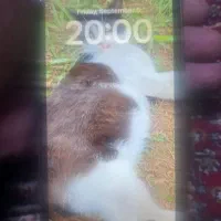 ایفون 11نرمال یاسی برند استوک|موبایل|سنندج, |دیوار