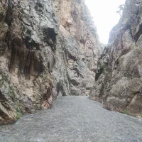 طبیعت یکروزه و نیمروزه