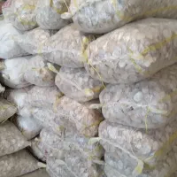 موسیرخشک/تمیز/درشت/یکدست