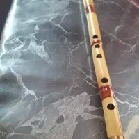 ساز نی کوک سل دیز