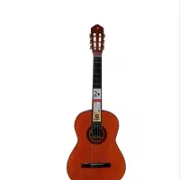 گیتار کارآموزی