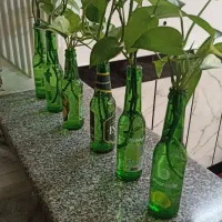 گل های شیشه‌ای