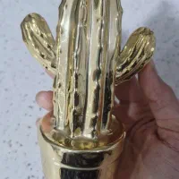 کاکتوس تزئینی|مجسمه، تندیس، ماکت|اهواز, سپیدار|دیوار