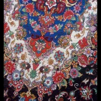 فرش دستبافت هریس سالاری۲۷رنگ|فرش|اهر, |دیوار