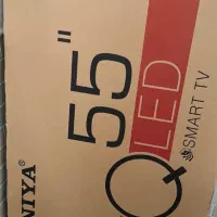 تلوزیون