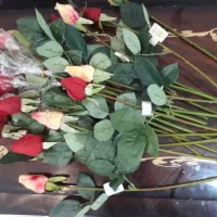 کفش شیک  مراسم و گل رز های مصنوعی جهت فروش|کیف، کفش، کمربند|بابل, |دیوار