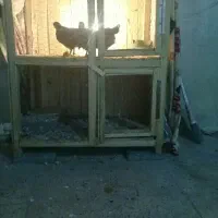 کجه دوطبقه بزرگ سالم و بدوم شکستگی