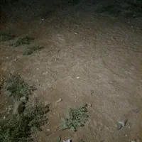 زمین-مسکونی