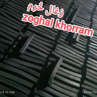 تولید کننده و پخش زغال چینی صنعتی . رکورد ، جکسون|عمده‌فروشی|قم, پردیسان|دیوار