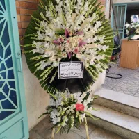 گل سرخ کد 586 با ارسال رایگان بدونه پیش پرداخت