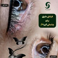 آموزش و خدمات آرایش دائم میکروپیگمنتیشن و فیبروز|خدمات آموزشی|نجف‌آباد, شهید رجایی|دیوار