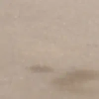 دوقطعه زمین باسندتک برگ