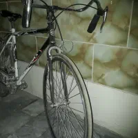 دوچرخه ترنیکس|دوچرخه، اسکیت، اسکوتر|ملارد, |دیوار