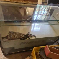 یه عدد میز و یک عدد مانکن برای بوتیک مردانه بوده