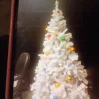 درخت کاج کریسمس