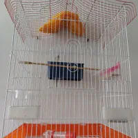 قفس 1033|لوازم جانبی حیوانات|مشکین‌دشت, |دیوار