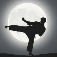 کاراته کنترلی