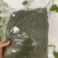 سبزی خشک طبس