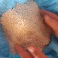 برنج سوسن|خوردنی و آشامیدنی|ایذه, |دیوار