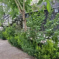 باغچه|فروش زمین و ملک کلنگی|فشم, |دیوار
