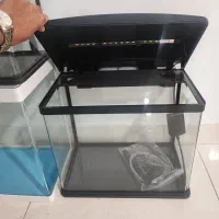 اکواریوم|ماهی|چهاردانگه (تهران), |دیوار