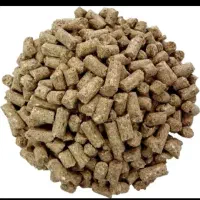 تفاله چغندر