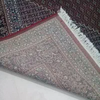 یک عدد فرش 12متری ریز ماهی کردستان|فرش|کرمانشاه, |دیوار