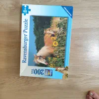 پازل ۲۰۰ تکه راونزبرگ|اسباب‌‌بازی|تهران, شهرک غزالی|دیوار