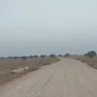 زمین-روستای-عرش-بندریگ-سند-ثبت