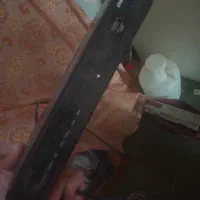 یک عدد کفتر سفیدهفت رنگ گمشده درمحدوده حافظ 5|اشیا|گناباد, |دیوار