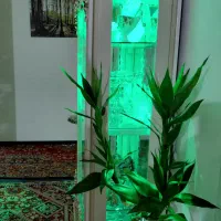 بوفه|بوفه، ویترین، کنسول|ماهدشت, |دیوار