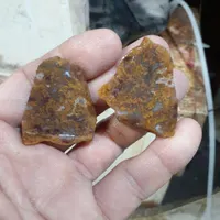 عقیق شجر