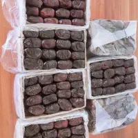 خرمارطب بم|خوردنی و آشامیدنی|بم, |دیوار