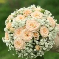 دیزاین،یلدایی و گل آرایی مراسم ومحضر ازدواج|خدمات پذیرایی، مراسم|مشهد, شاهد (شهرک غرب)|دیوار